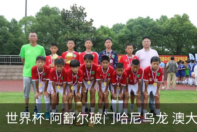 世界杯-阿舒尔破门哈尼乌龙 澳大利亚1-1埃及进加时