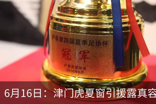 6月16日：津门虎夏窗引援露真容，于根伟放弃边缘球员，国安落选国脚或成全新王牌